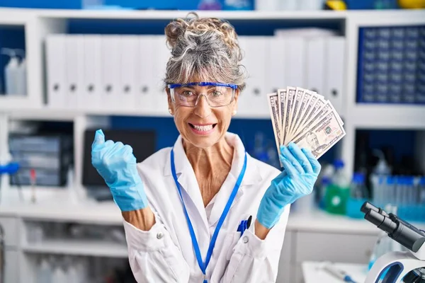 Μεσήλικας Γυναίκα Που Εργάζονται Εργαστήριο Επιστήμονας Κρατώντας Δολάρια Ουρλιάζοντας Υπερήφανοι — Φωτογραφία Αρχείου