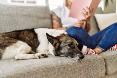 Kanepede oturup evde köpek kitabı okurken mutlu gülümseyen beyaz bir kız..