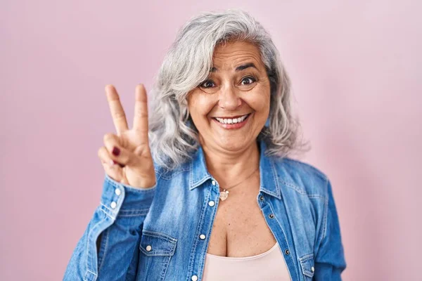 Middle Age Woman Grey Hair Standing Pink Background Showing Pointing — Stock Photo, Image