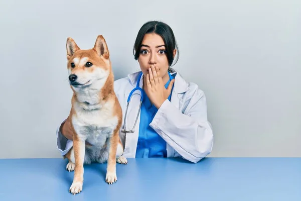 美丽的他惊慌失措的兽医女人用手检查狗的健康盖住嘴 震惊而又害怕犯错 惊讶的表情 — 图库照片