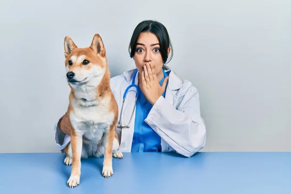 Bella Donna Veterinaria Ispanica Controllare Salute Del Cane Che Copre — Foto Stock