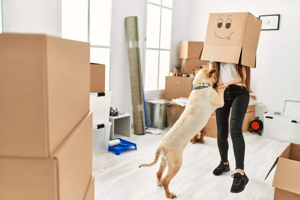 Mujer Hispana Joven Usando Cartón Divertido Cabeza Jugando Con Perros —  Fotos de Stock