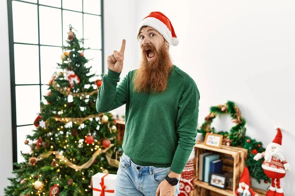 Redhead Man Long Beard Wearing Christmas Hat Christmas Tree Pointing — Zdjęcie stockowe