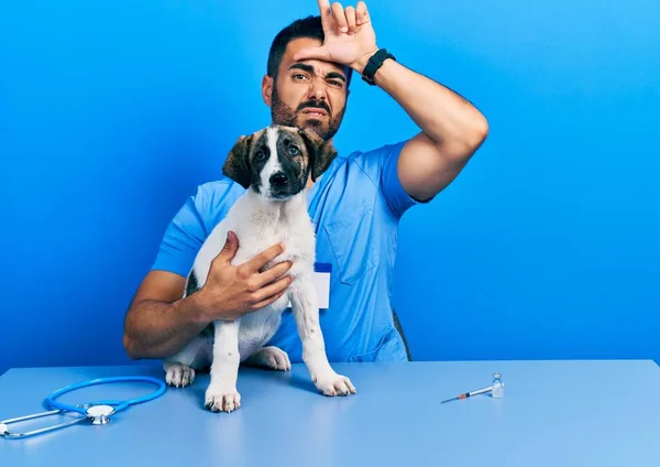 Красивый Латиноамериканец Ветеринар Бородой Проверяющий Здоровье Собаки Высмеивает Людей Пальцами — стоковое фото
