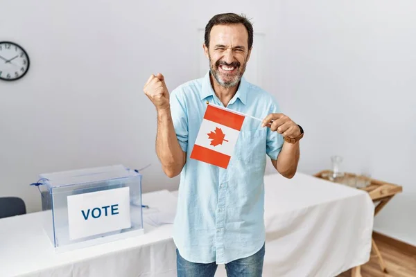 Середній Вік Чоловік Бородою Виборах Політичних Кампаній Тримаючи Прапор Канади — стокове фото