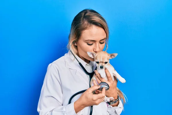 Giovane Donna Veterinaria Bionda Indossa Uniforme Stetoscopio Tenendo Piccolo Chihuhua — Foto Stock