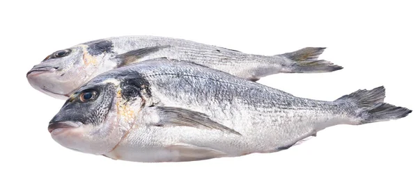 Dwie Niegotowane Ryby Białym Izolowanym Tle — Zdjęcie stockowe