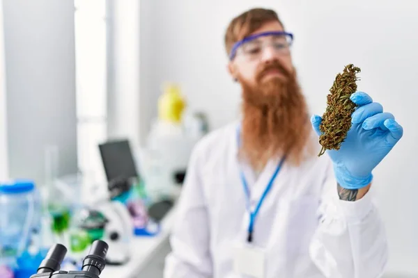 Jovem Ruiva Homem Vestindo Cientista Uniforme Segurando Maconha Erva Laboratório — Fotografia de Stock