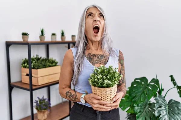 Middle Age Grey Haired Woman Holding Green Plant Pot Home — Stockfoto
