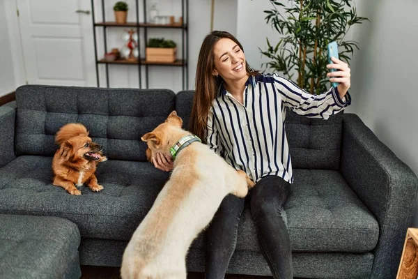 Young Hispanic Woman Make Selfie Smartphone Sitting Sofa Dogs Home — 스톡 사진