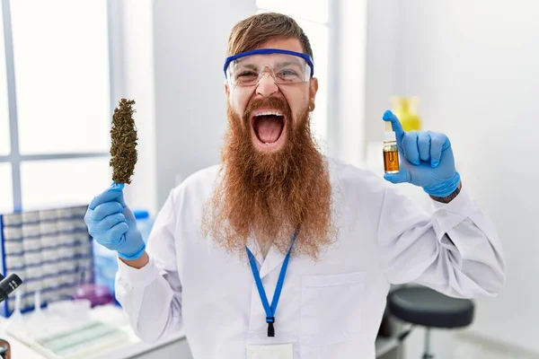 Redhead Man Long Beard Working Scientist Laboratory Holding Weed Cbd — Zdjęcie stockowe