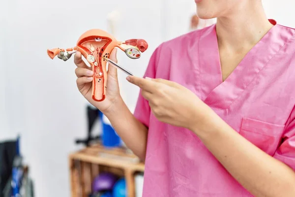 Ginecologista Mulher Segurando Modelo Anatômico Tubo Falópio Clínica — Fotografia de Stock