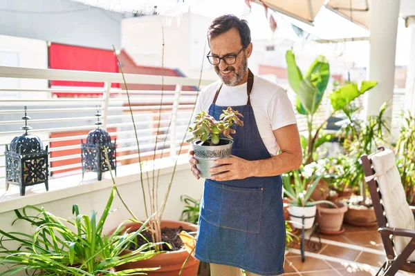 Middelbare Leeftijd Man Glimlachend Zelfverzekerd Plateau Pot Houden Terras Thuis — Stockfoto