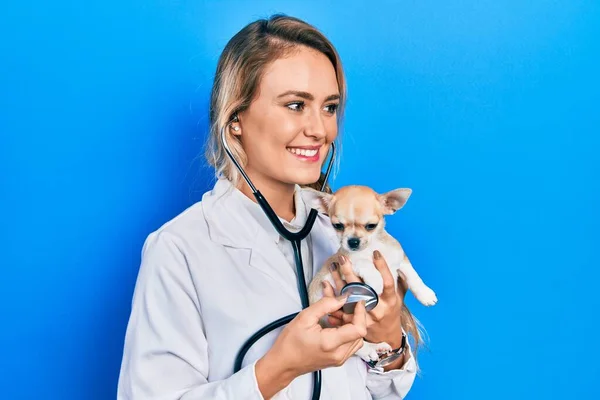 Giovane Donna Veterinaria Bionda Indossa Uniforme Stetoscopio Tenendo Piccolo Chihuhua — Foto Stock