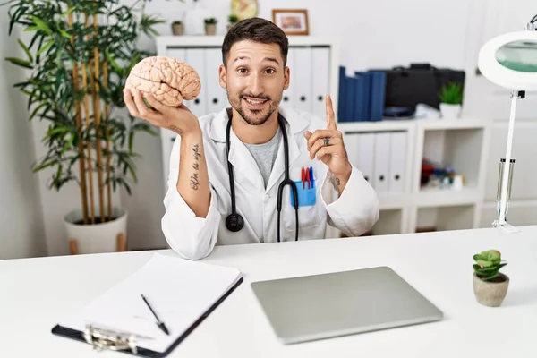 Young Doctor Holding Brain Medical Clinic Surprised Idea Question Pointing — Foto de Stock