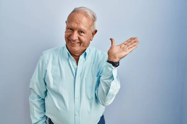 Senior Man Grey Hair Standing Blue Background Smiling Cheerful Presenting — Foto Stock