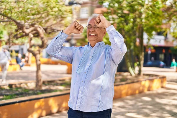 Senior Man Standing Cheerful Expression Park — Φωτογραφία Αρχείου