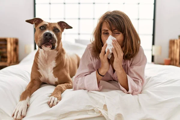 Young Caucasian Woman Illness Using Napkin Lying Bed Dog Bedroom — Stock Photo, Image