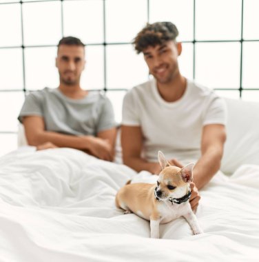 İki İspanyol erkek yatak odasında Chihuahua ile yatakta oturuyor.