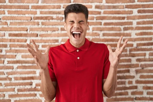 Young Hispanic Man Standing Bricks Wall Celebrating Mad Crazy Success — Φωτογραφία Αρχείου