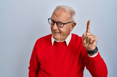 Senior man with grey hair standing over isolated background pointing finger up with successful idea. exited and happy. number one. 