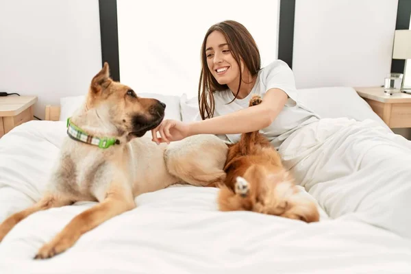 Young Hispanic Woman Playing Dogs Lying Bed Bedroom — Fotografia de Stock
