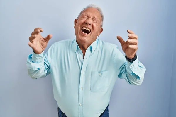 Senior Man Grey Hair Standing Blue Background Celebrating Mad Crazy — Stok fotoğraf