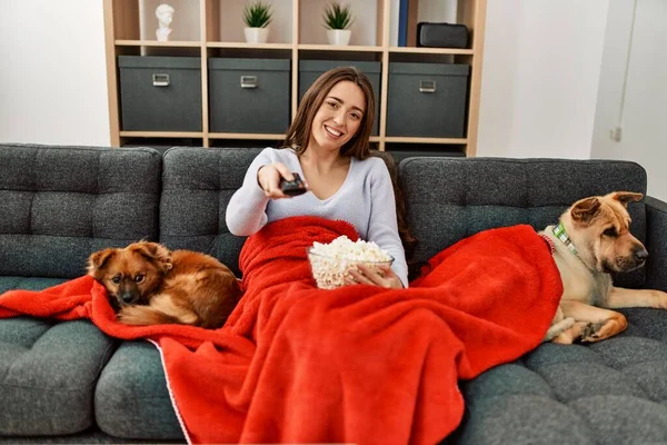 Jovem Hispânica Assistindo Filme Sentado Sofá Com Cães Casa — Fotografia de Stock