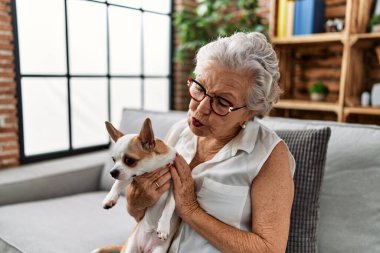 Yaşlı, gri saçlı, gülümseyen bir kadın. Elinde Chiuahua ile evde oturuyor.