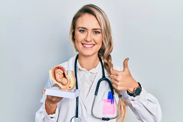 Beautiful Young Blonde Doctor Woman Holding Anatomical Model Female Uterus — Stock fotografie