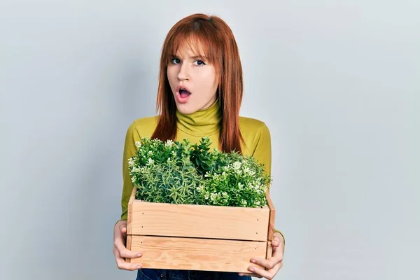 Redhead Young Woman Holding Wooden Plant Pot Shock Face Looking — Stock Photo, Image
