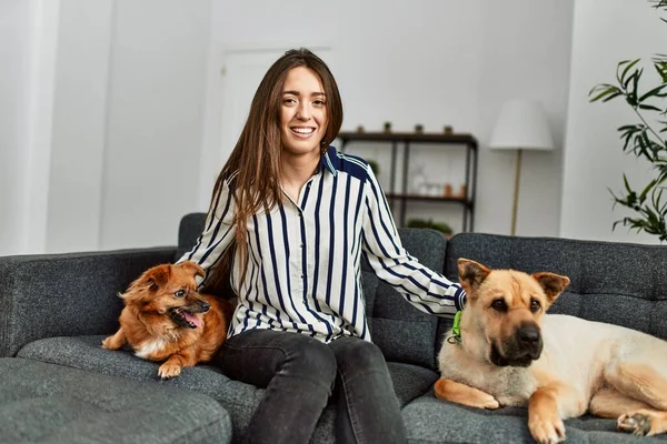 Young Hispanic Woman Smiling Confident Sitting Sofa Dogs Home — ストック写真