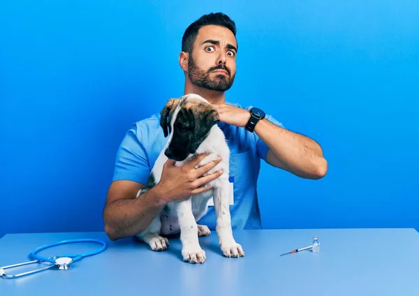 Красивый Латиноамериканец Ветеринар Бородой Проверяет Здоровье Собаки Перерезает Горло Рукой — стоковое фото