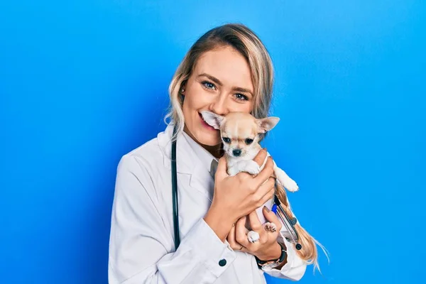 Jovem Veterinária Loira Mulher Vestindo Uniforme Estetoscópio Segurando Pequeno Chihuhua — Fotografia de Stock