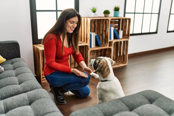 Young woman smiling confident teaching dog at home