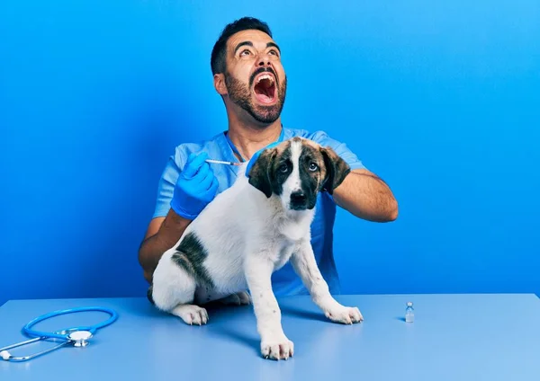 Bello Ispanico Veterinario Uomo Con Barba Mettendo Vaccino Cucciolo Cane — Foto Stock