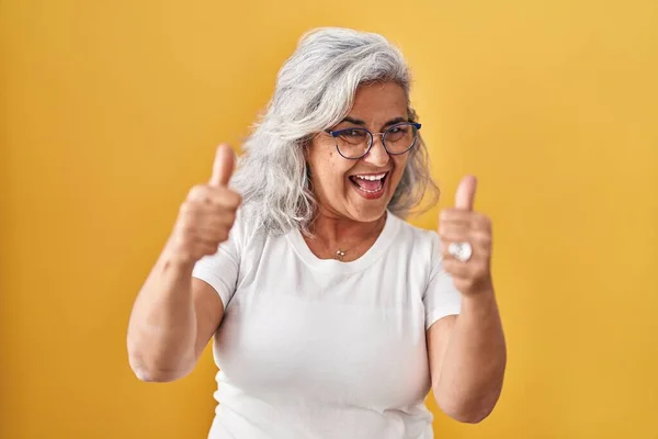 Middle Age Woman Grey Hair Standing Yellow Background Success Sign — Stock Photo, Image