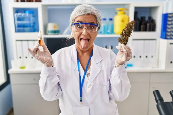 Middle Age Woman Grey Hair Doing Weed Oil Extraction Laboratory — Photo