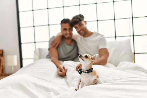 Två Hispanic Män Par Kramar Varandra Sitter Sängen Med Chihuahua — Stockfoto