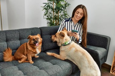 Genç İspanyol kadın akıllı telefon kullanıyor. Kanepede köpeklerle oturuyor.