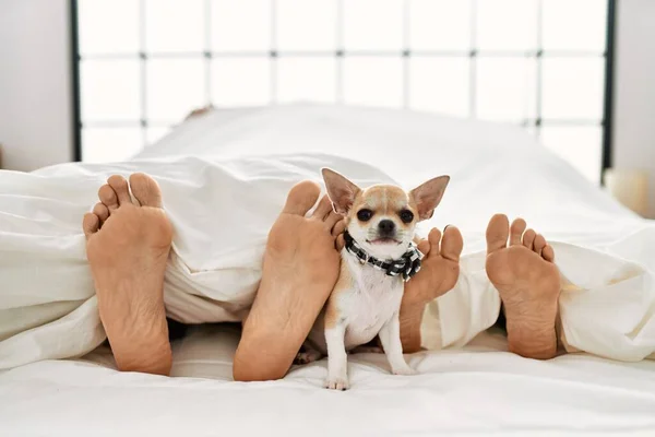Couple feet and dog on bed.