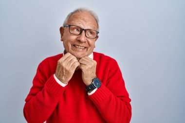 Senior man with grey hair standing over isolated background laughing nervous and excited with hands on chin looking to the side 