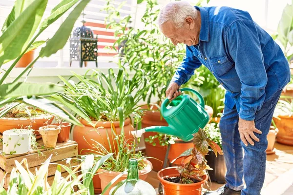 Senior Kaukasische Man Glimlachend Gelukkig Besproeiende Planten Staan Het Terras — Stockfoto