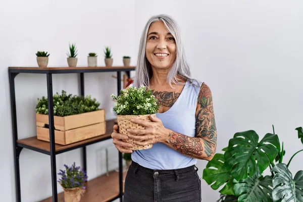 中年の白髪の女性が幸せとクールな笑顔で自宅で緑の植物の鍋を保持します 運のいい人 — ストック写真