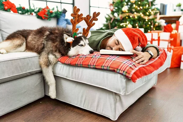 Young Hispanic Man Sleeping Lying Sofa Dog Christmas Tree Home — Stok fotoğraf