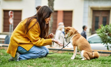 Parkta Shiba Inu köpeği eğiten güzel genç bir kadın.