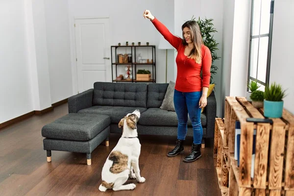 Jovem Mulher Sorrindo Confiante Cão Ensino Casa — Fotografia de Stock