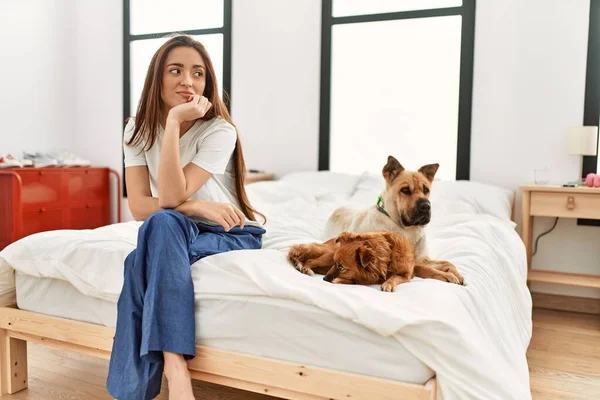 Young Brunette Woman Sitting Bed Two Dogs Thinking Looking Tired —  Fotos de Stock