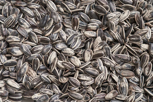 Beautiful sunflower seeds image