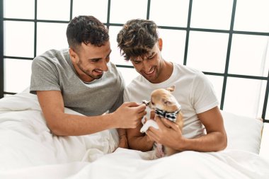 İki İspanyol erkek yatak odasında Chihuahua ile yatakta oturuyor.